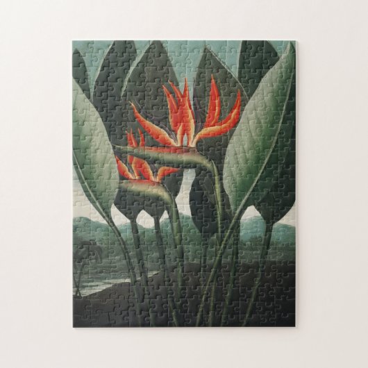 Botanische Vogel van het Paradijs Jigsaw Puzzel (Verticaal)