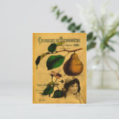 Botanische vruchten briefkaart (Staand voorkant)