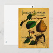 Botanische vruchten briefkaart (Voorkant / Achterkant)