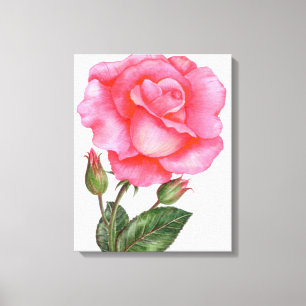 Botanische wandkunst roze roos bloemkunst bloem canvas afdruk