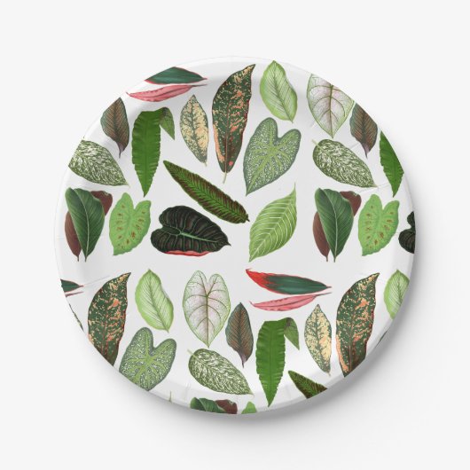 Botanische Waterverf  groene bladeren Papieren Bordje (Voorkant)