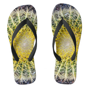 Botanische Wereldbol Cactus Plant Foto Teenslippers