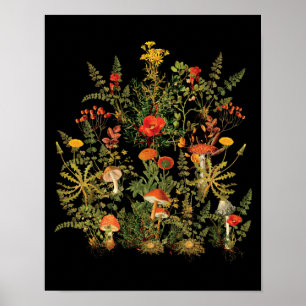 Botanische Wildbloemen Paddenstoelen Herfst Poster