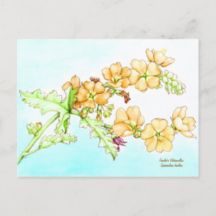 Botanische wilde bloem waterverf, bolletjesmalve briefkaart