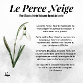 Botanische winterbloem van februari poster