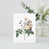 Botanische witte Rose Briefkaart (Staand voorkant)
