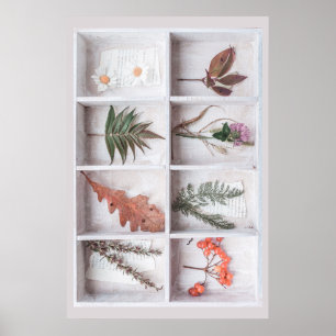 Botanische witte schaduw doos, bloemen bladeren ve poster