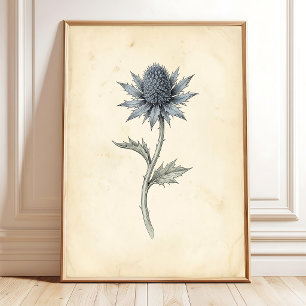 Botanische Zee Hulst Vintage Muurkunst Poster
