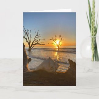 botany bay sunrise #1 carte de voeux (vide à l'int