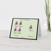 Botany Made Simple 7 x 5 Carte de voeux - vide