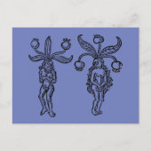 Botany: Mandrake, 1476 Briefkaart (Voorkant)