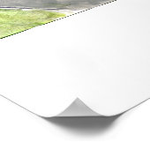 Botany Pond Poster (Hoek)