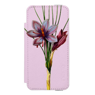 Botany: Saffron