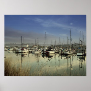 Boten in de haven poster
