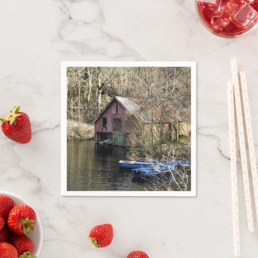 BOTEN SERVETTEN (Insitu)