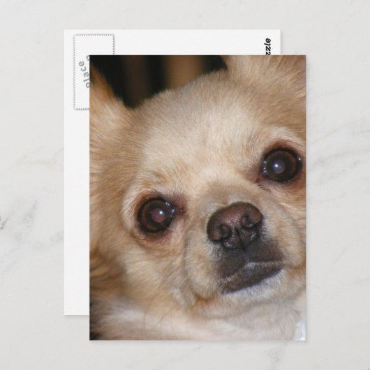 Boter Briefkaart (Voorkant / Achterkant)