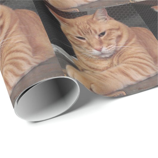 Boter Cadeaupapier (Rol Hoek)