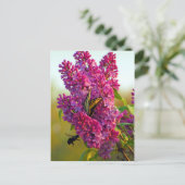 Boter en bijen op Lila Briefkaart (Staand voorkant)