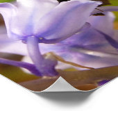 Boter- en blauwvlinders poster (Hoek)