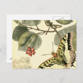 Boter en dragonfly met rode bloemen briefkaart (Voorkant / Achterkant)