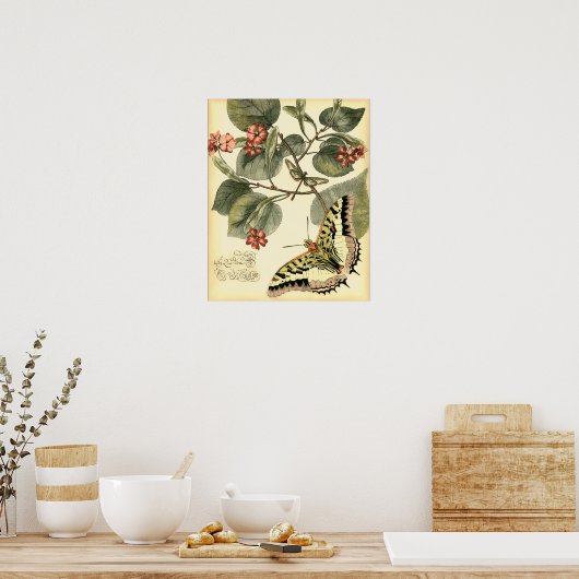 Boter en dragonfly met rode bloemen poster (Keuken)