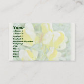 Boter "n Eggs Wilde Visitekaartje (Voorkant)