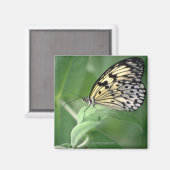 Boter op blad magneet (Voorkant / Achterkant)