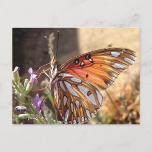 Boter op het Briefkaart Lavender
