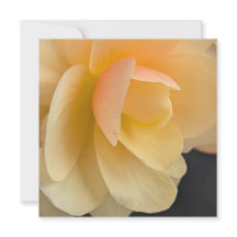 Boterachtige Begonia Wenskaart