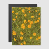 Boterbloem tuinmagneet (Voorkant / Achterkant)