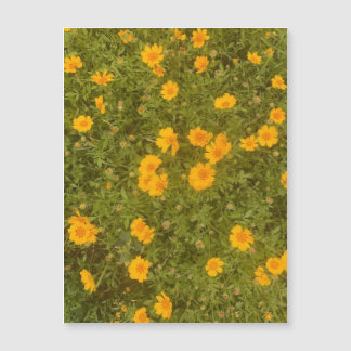 Boterbloem tuinmagneet