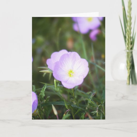 Boterbloemen Kaart (Voorkant)