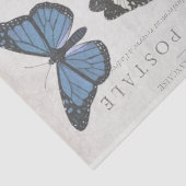 Boterfly  Frans Carte Postale Decoupage T Tissuepapier (Detail)