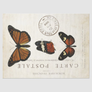 Boterfly Franse carte Postale ontkoppeling Tissuepapier