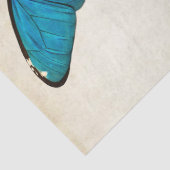Boterfly  Franse carte Postale ontkoppeling Tissuepapier (Detail)