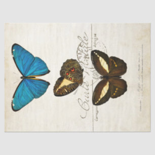 Boterfly  Franse carte Postale ontkoppeling Tissuepapier