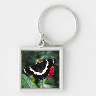 Boterfly Lolipop-Sleutelhanger Sleutelhanger