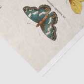 boterpapier voor het losmaken van de snijpagina tissuepapier (Detail)