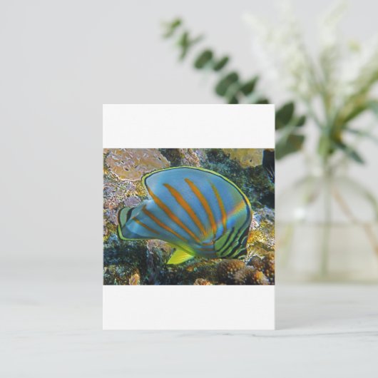 Botervis Briefkaart (Staand voorkant)