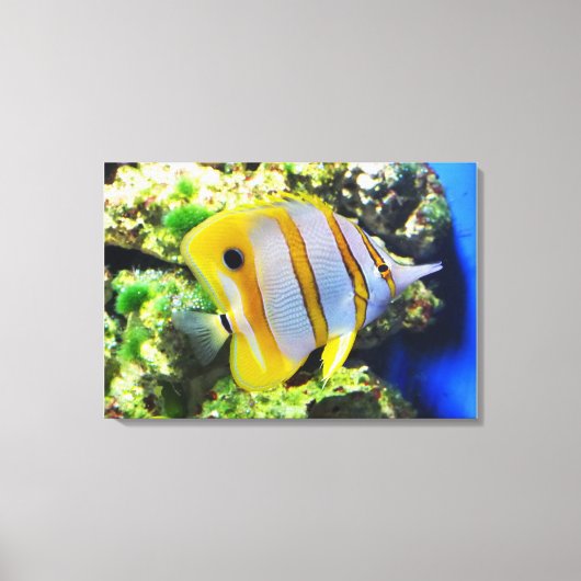 Botervis Canvas Afdruk (Voorkant)