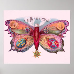 Botervlieg Antiek schilder Poster