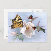 Botervlieg en luchtvogels briefkaart (Voorkant / Achterkant)