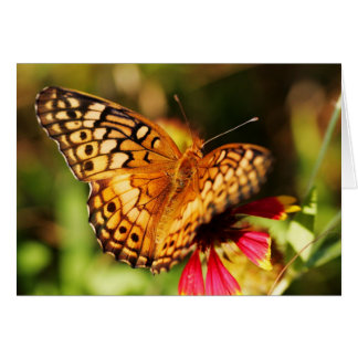 Botervlieg en wilde bloem