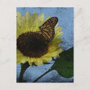 Botervlieg en zonnebloem briefkaart