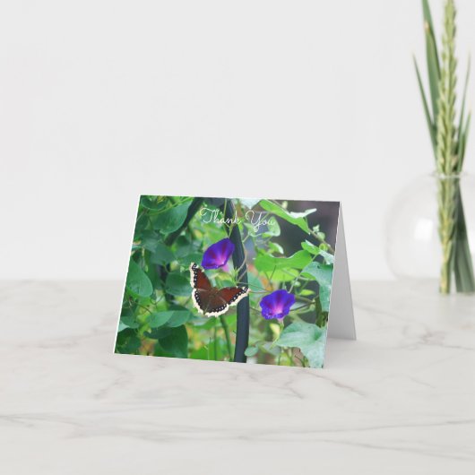 Botervlieg op de gouden bloemen van de Morning Kaart (Voorkant)