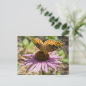 Botervlieg op een Paarse concefloer Briefkaart (Staand voorkant)