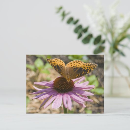 Botervlieg op een Paarse concefloer Briefkaart (Staand voorkant)