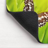 Botervlieg op een vers groen gras muismat (Hoek)