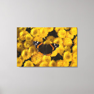 Botervlieg op gele asters canvas afdruk