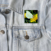 Botervlieg op gele Button (In situ)